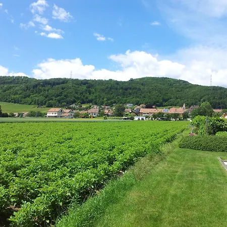 Au Coeur Du Vignoble Sur 4*