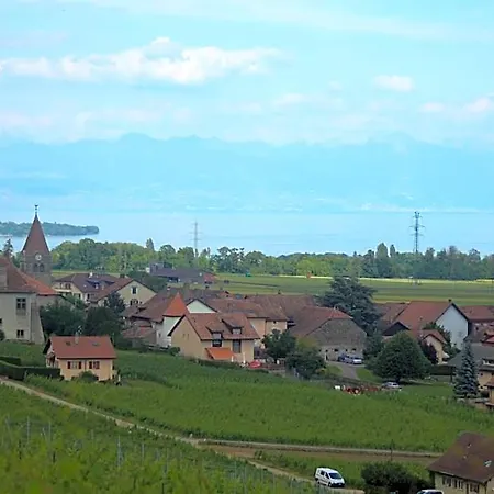Bed & Breakfast Au Coeur Du Vignoble Sur 4*