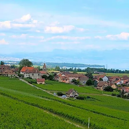 Au Coeur Du Vignoble Sur Bursins