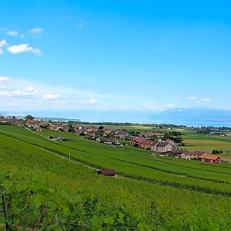Au Coeur Du Vignoble Sur 4*