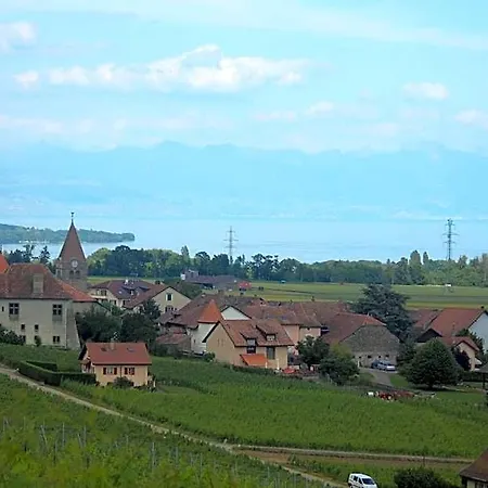 Bed & Breakfast Au Coeur Du Vignoble Sur 4*