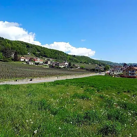 Bed & Breakfast Au Coeur Du Vignoble Sur