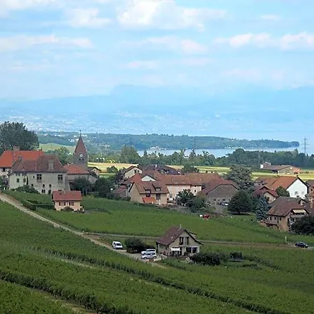 Au Coeur Du Vignoble Sur Bed & Breakfast Bursins