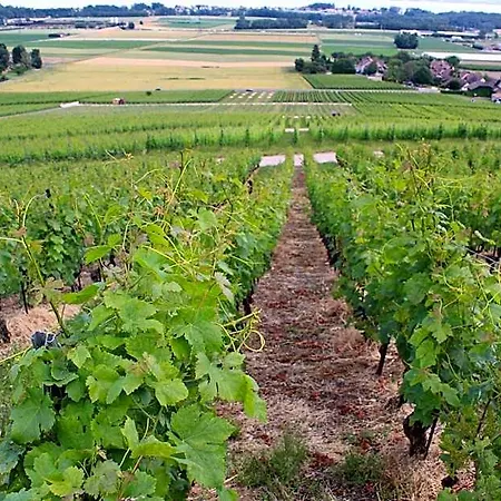 Bed & Breakfast Au Coeur Du Vignoble Sur 4*