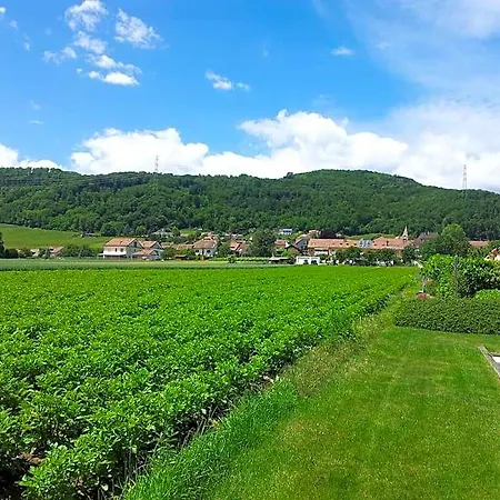 Au Coeur Du Vignoble Sur Bed & Breakfast