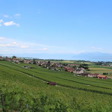 Au Coeur Du Vignoble Sur B&B