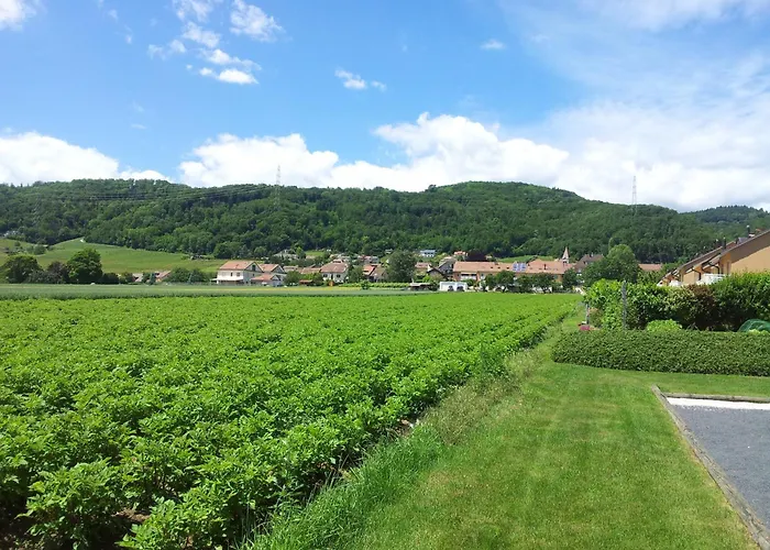 Au Coeur Du Vignoble Sur 4*