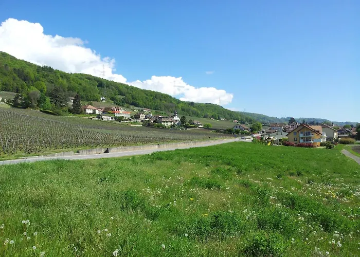 Nocleg ze śniadaniem Au Coeur Du Vignoble Sur 4*