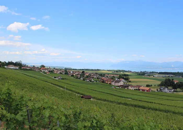 Au Coeur Du Vignoble Sur B&B