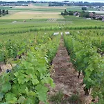 Au Coeur Du Vignoble Sur 4* Bursins