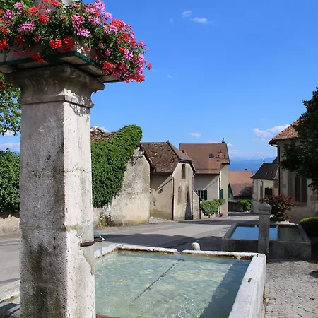 Au Coeur Du Vignoble Sur Nocleg ze śniadaniem 4*