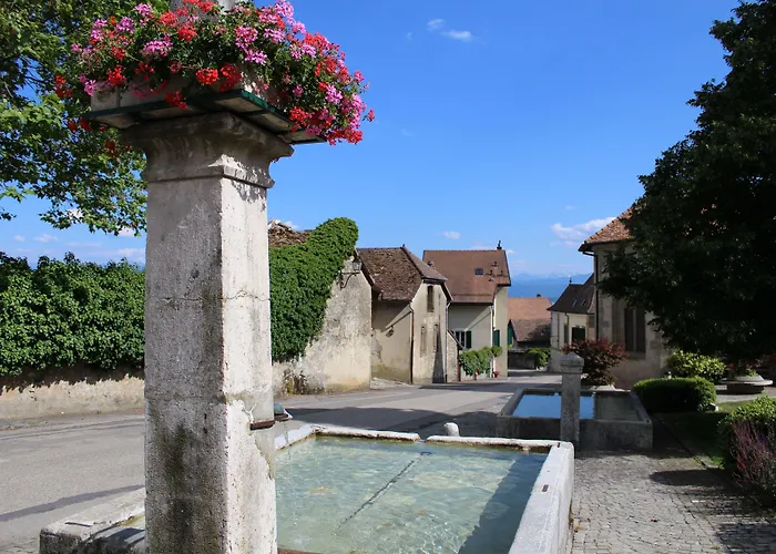 Au Coeur Du Vignoble Sur Nocleg ze śniadaniem 4*